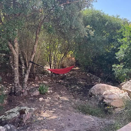 Vecchio, Calme Avec Piscine Villa